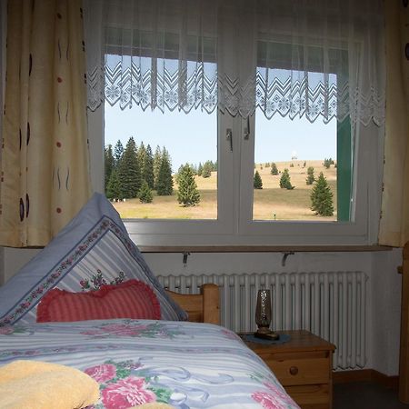 Berggasthof-Pension Todtnauer Hutte Feldberg  Exteriér fotografie
