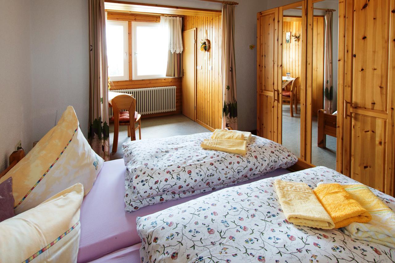 Berggasthof-Pension Todtnauer Hutte Feldberg  Exteriér fotografie