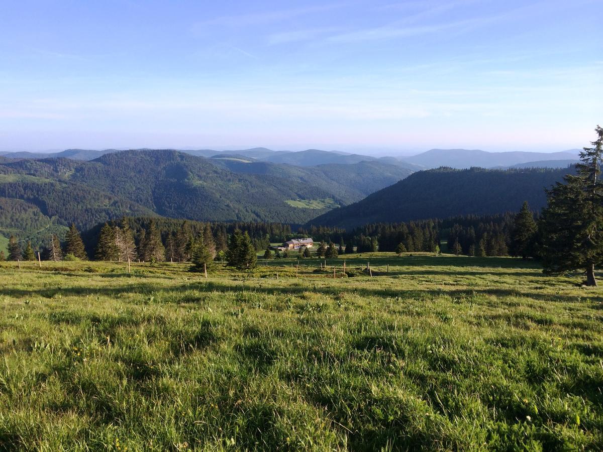 Berggasthof-Pension Todtnauer Hutte Feldberg  Exteriér fotografie