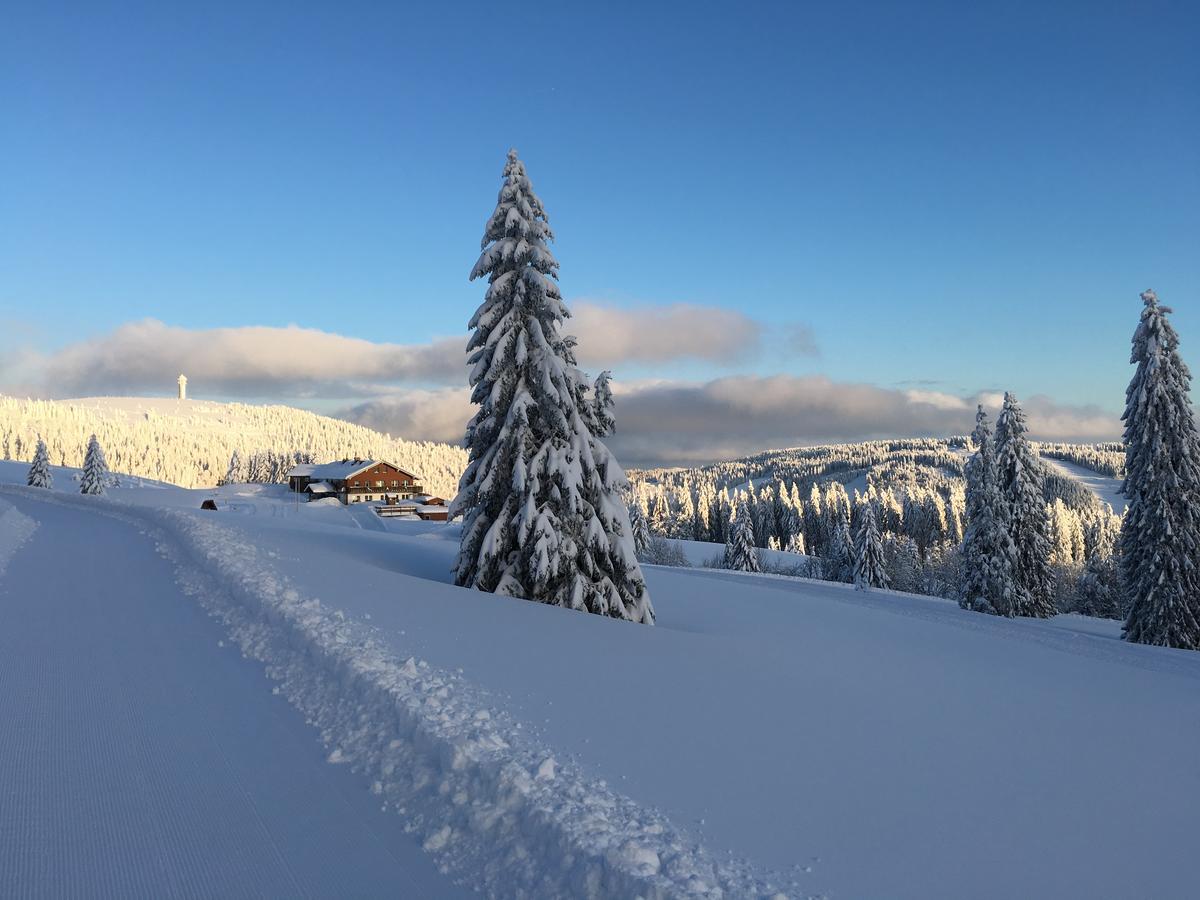 Berggasthof-Pension Todtnauer Hutte Feldberg  Exteriér fotografie