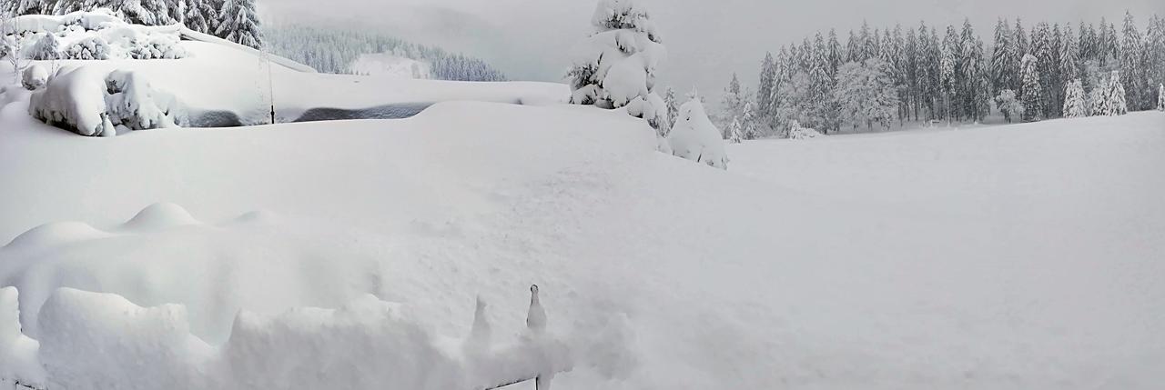 Berggasthof-Pension Todtnauer Hutte Feldberg  Exteriér fotografie