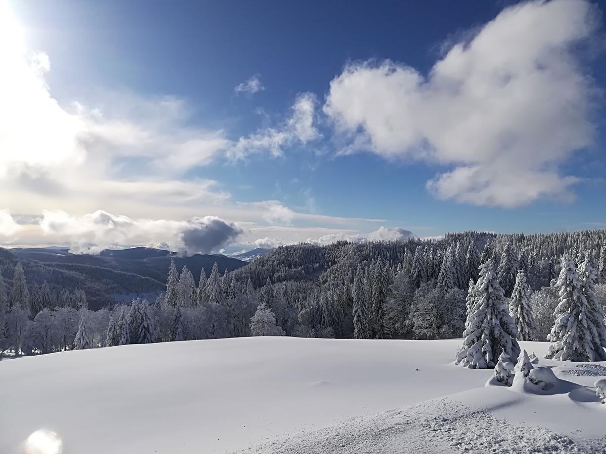 Berggasthof-Pension Todtnauer Hutte Feldberg  Exteriér fotografie